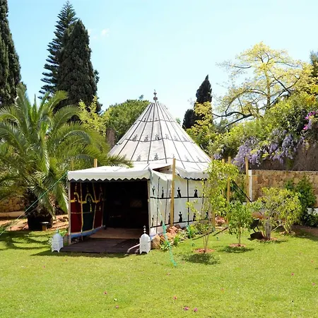 El Mirador *